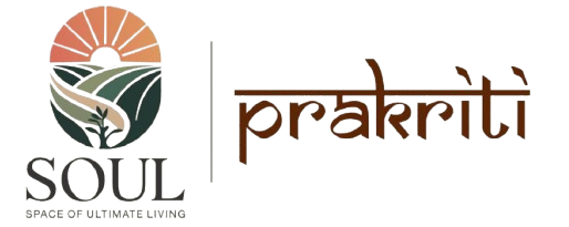 0004dbaf-a214-4e6e-9f9b-08003a5a0a38