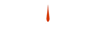 logi logo